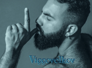 viggovolkov Archive DVD BIZ