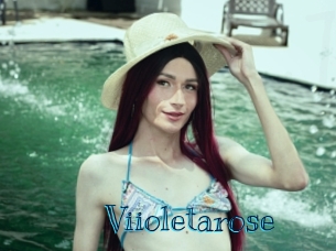 viioletarose Archive DVD BIZ