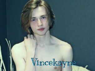 Vincekayne
