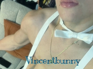 Vincentbunny