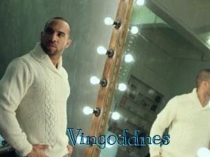 Vingoddnes