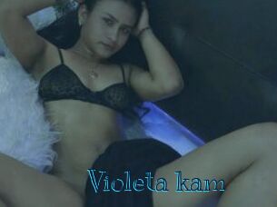 Violeta_kam