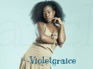 Violetgraice