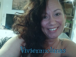 Vivienmolinas