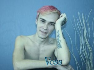 Voss