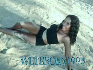WETEBONY1993 Archive DVD BIZ