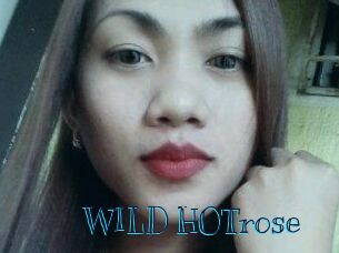 WILD_HOTrose