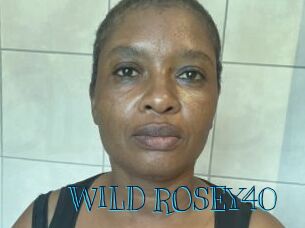 WILD_ROSEY40