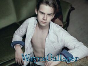 WayneGallager