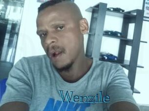 Wenzile Archive DVD BIZ