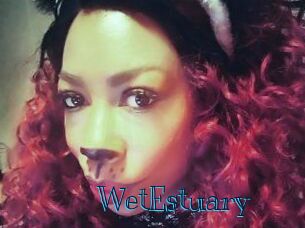 WetEstuary