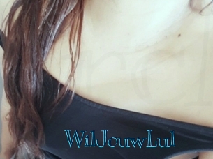 WilJouwLul Archive DVD BIZ