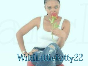 WildLittleKitty22