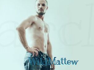 WildMattew Archive DVD BIZ