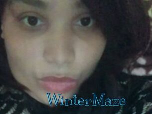 Winter_Maze