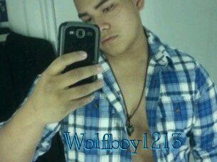 Wolfboy1213