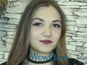 WowClare Archive DVD BIZ