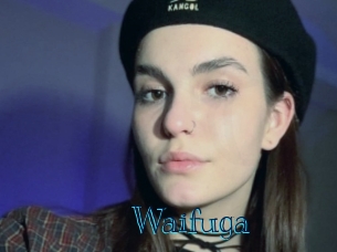 waifuga Archive DVD BIZ
