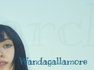 Wandagallamore