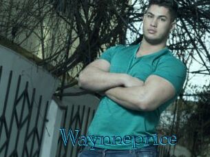 Waynneprice