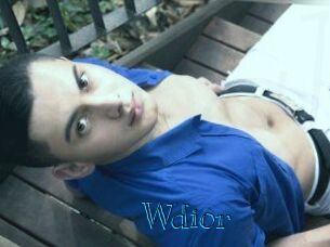 Wdior