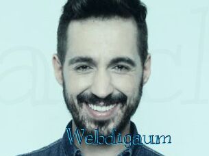 Webdigaum
