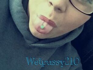 Wetpussy210