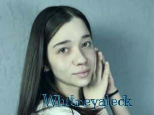whitneyaleck Archive DVD BIZ