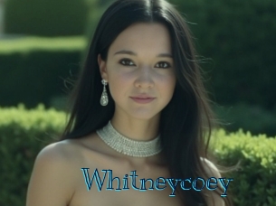 whitneycoey Archive DVD BIZ