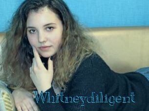 Whitneydiligent