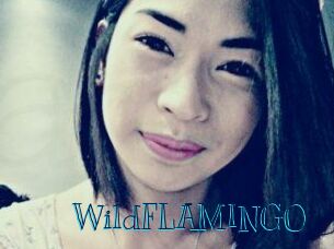 WildFLAMINGO
