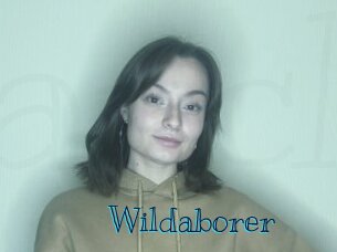 Wildaborer