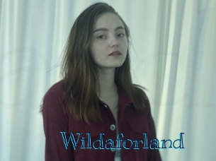 wildaforland Archive DVD BIZ