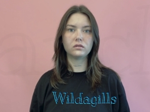 wildagills Archive DVD BIZ