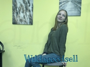 wildagoodsell Archive DVD BIZ