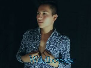 Wildboysex