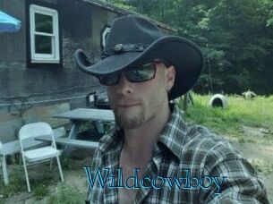 Wildcowboy