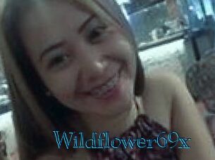 Wildflower69x