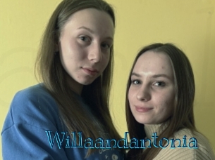 Willaandantonia