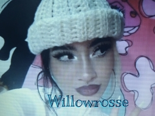 willowrosse Archive DVD BIZ