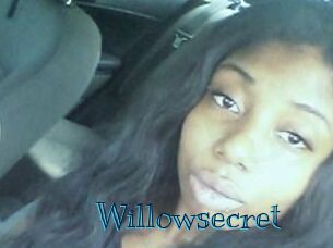 Willow_secret