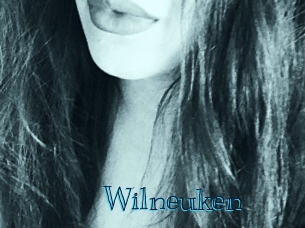wilneuken Archive DVD BIZ