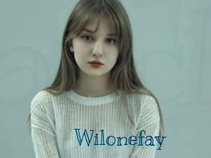 wilonefay Archive DVD BIZ