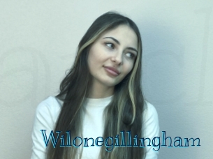 wilonegillingham Archive DVD BIZ
