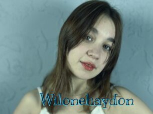 wilonehaydon Archive DVD BIZ