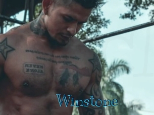winstone Archive DVD BIZ