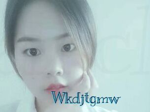 wkdjtgmw Archive DVD BIZ