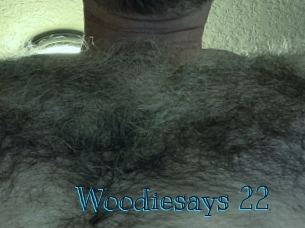 woodiesays_22 Archive DVD BIZ
