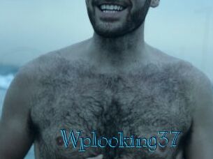 wplooking37 Archive DVD BIZ