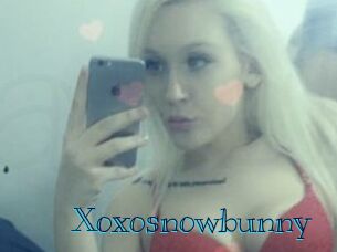 Xoxosnowbunny